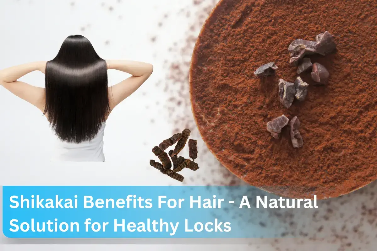 Shikakai Benefits For Hair - A Natural Solution for Healthy Locks