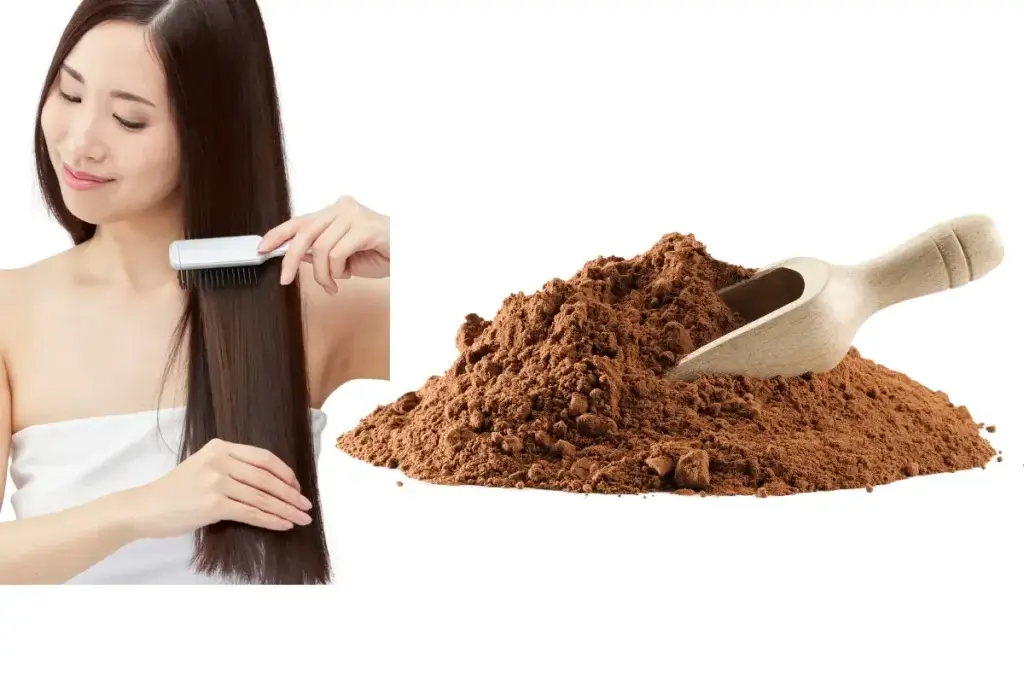 Shikakai Powder For Hair Growth - Benefits & DIY Recipes 1 Shikakai Powder For Hair Growth - Benefits & DIY Recipes